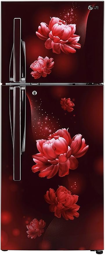 LG 260 L 2 Star Frost Free Inverter Double Door Refrigerator (GL-T292RSCY, Scarlet Charm, Convertible)