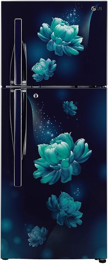 LG 260 L 2 Star Smart Inverter Frost-Free Double Door Refrigerator (GL-S292RBCY.ABCZEBN, Blue)